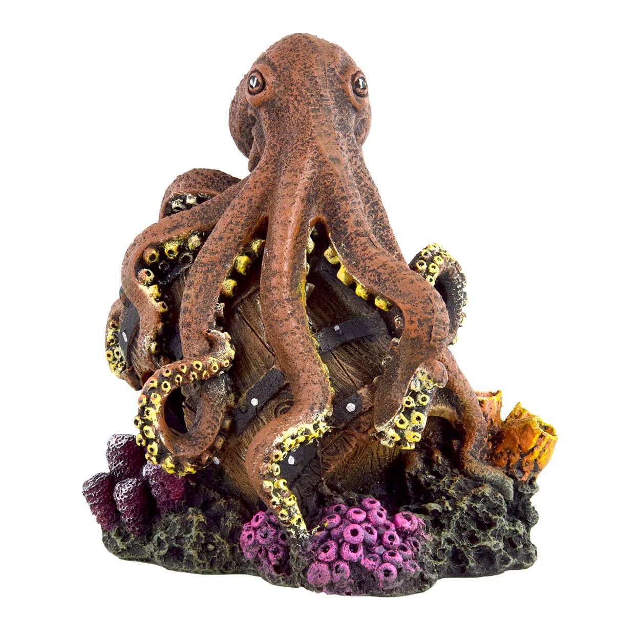 Underwater TreasuresReef Octopus