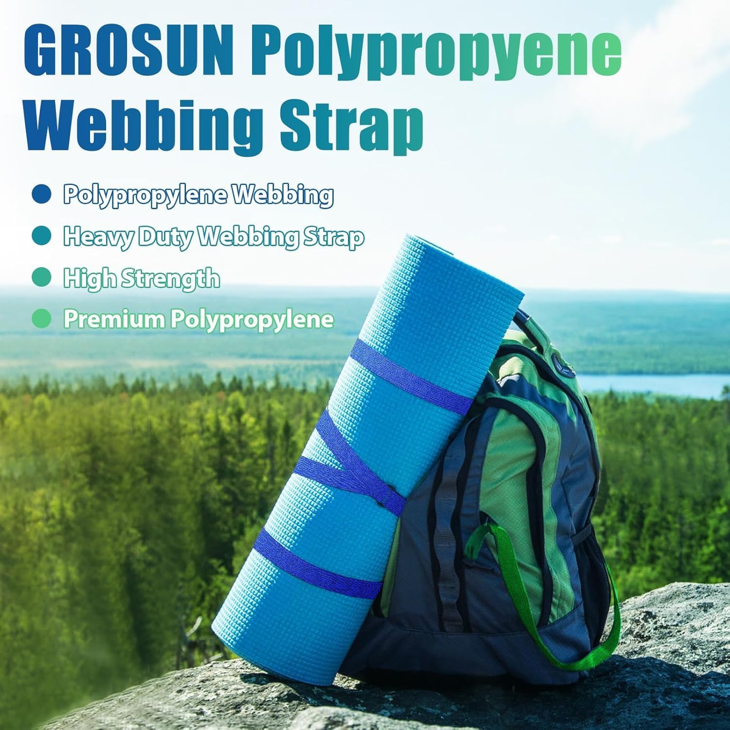 12 Rolls Polypropylene Webbing 1 Inch 1.5 inch 2 inch Nylon Webbing Straps, 5 10 25 50 100 Yards Webbing Strapping