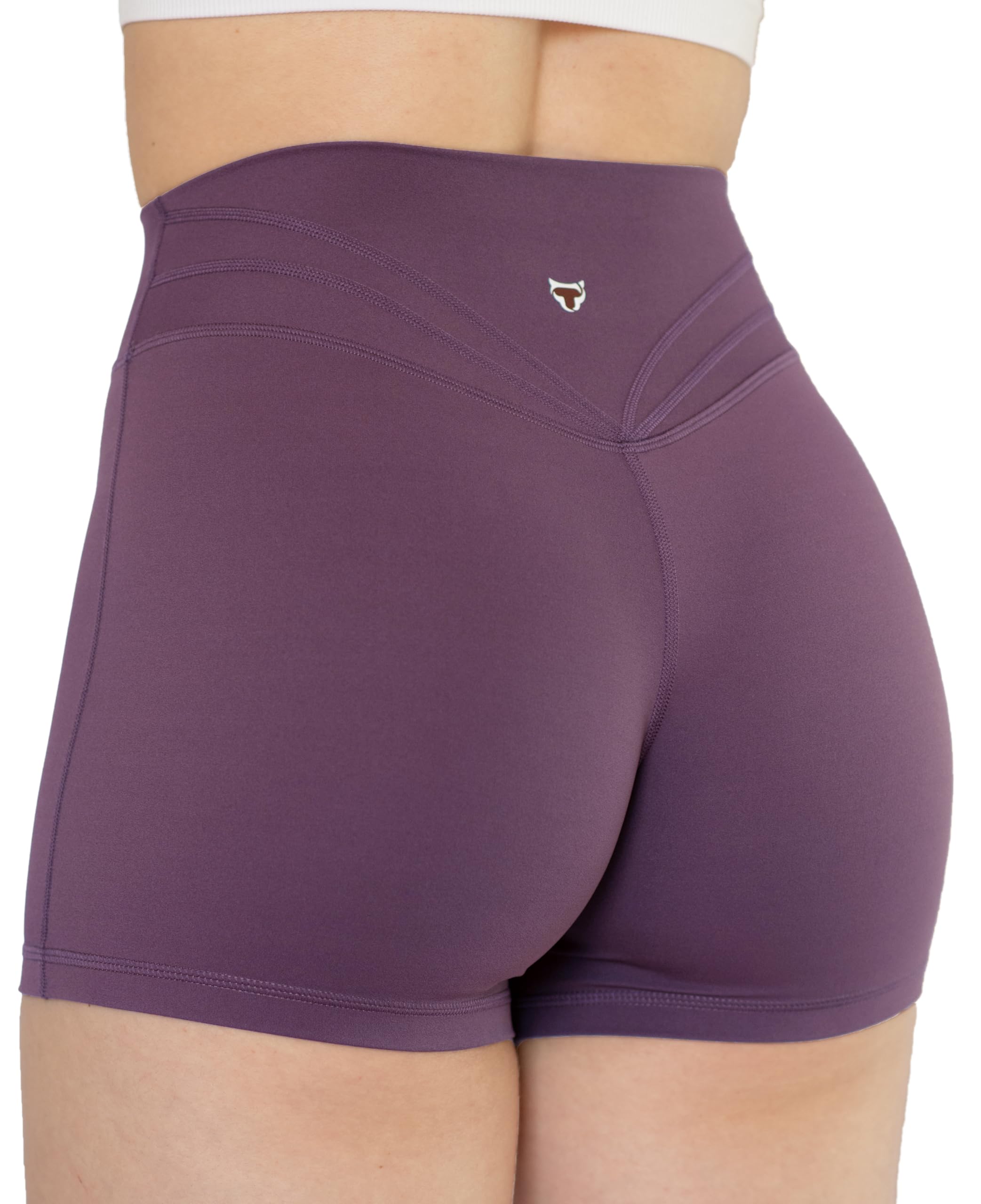 TomTiger Workout Shorts for Women High Waist Gym Shorts Bike Running Active Exercise Yoga Shorts Tummy Control