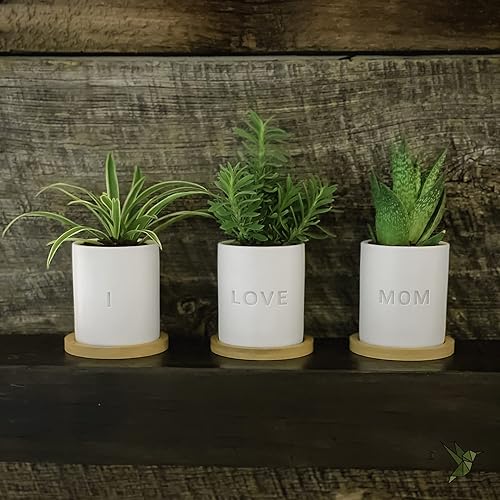 Miniatura 2 de GreenMind Design I Love Mom - Macetas de cerámica de 3.5 pulgadas con bandeja de bambú y agujero de drenaje grabado láser, plantas no incluidas
