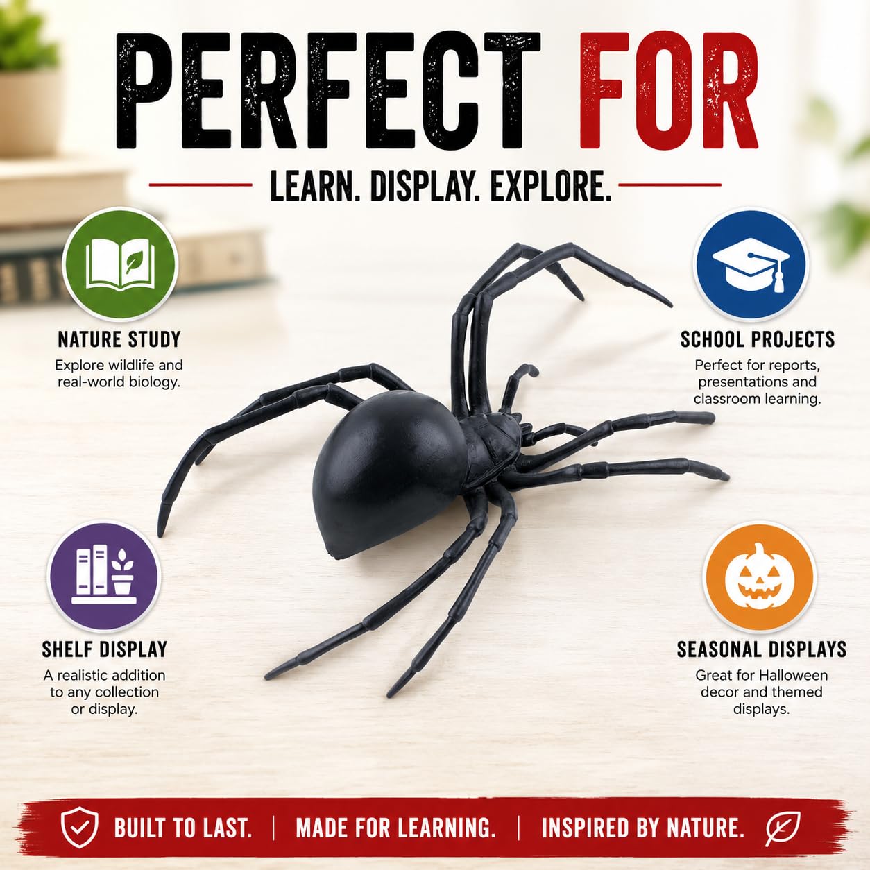 Amazon.com: Safari Ltd. Black Widow Spider Figurine - Realistic