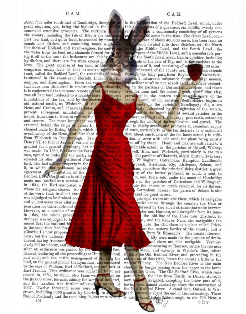 Amazon.com: Rabbit in Red Dress Poster Print