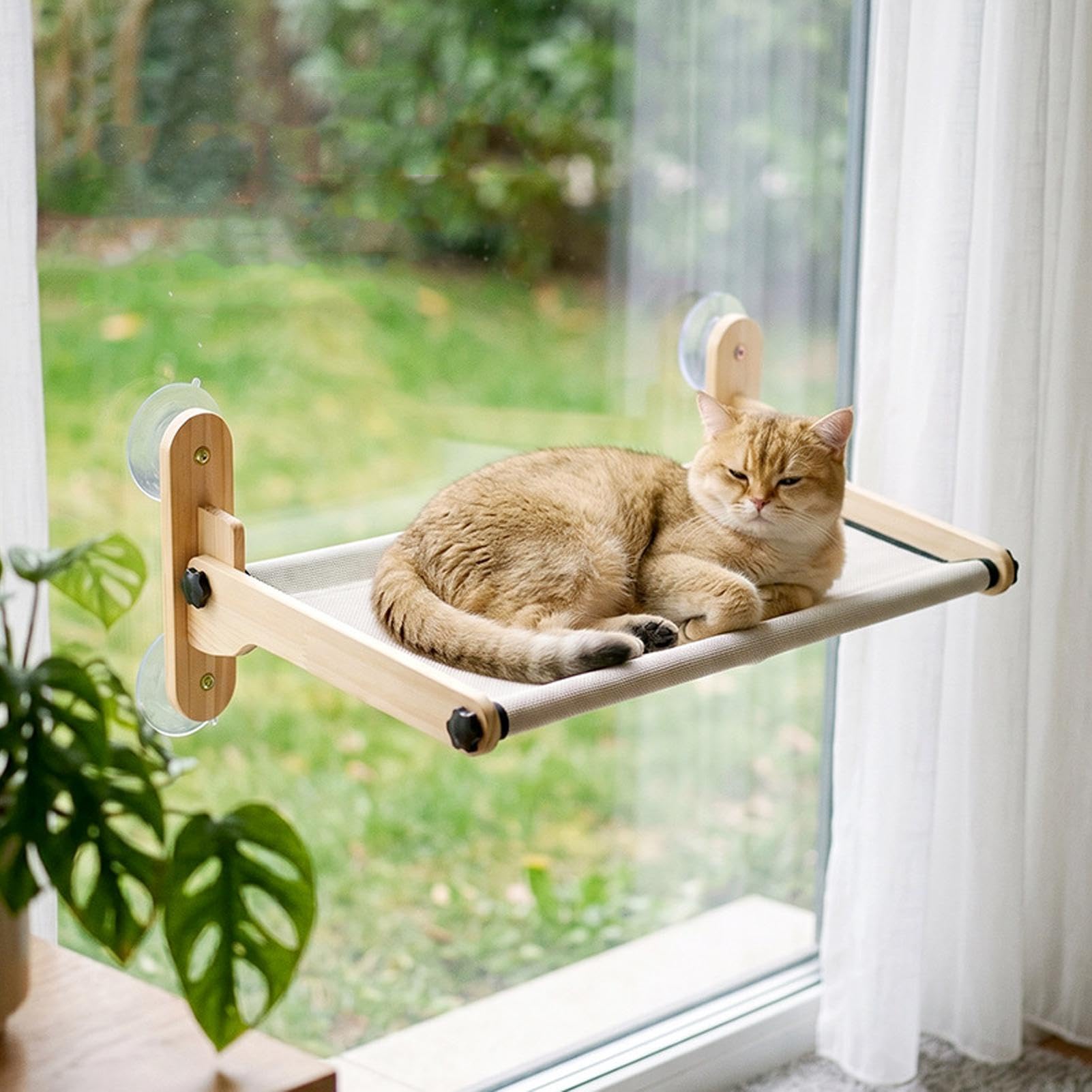 Posatoio da finestra per gatti con ventose | Trespolo Regolabile in Rete Traspirante per Gatto Appartamento, Balcone, Davanzale, Lato , Casa, e
