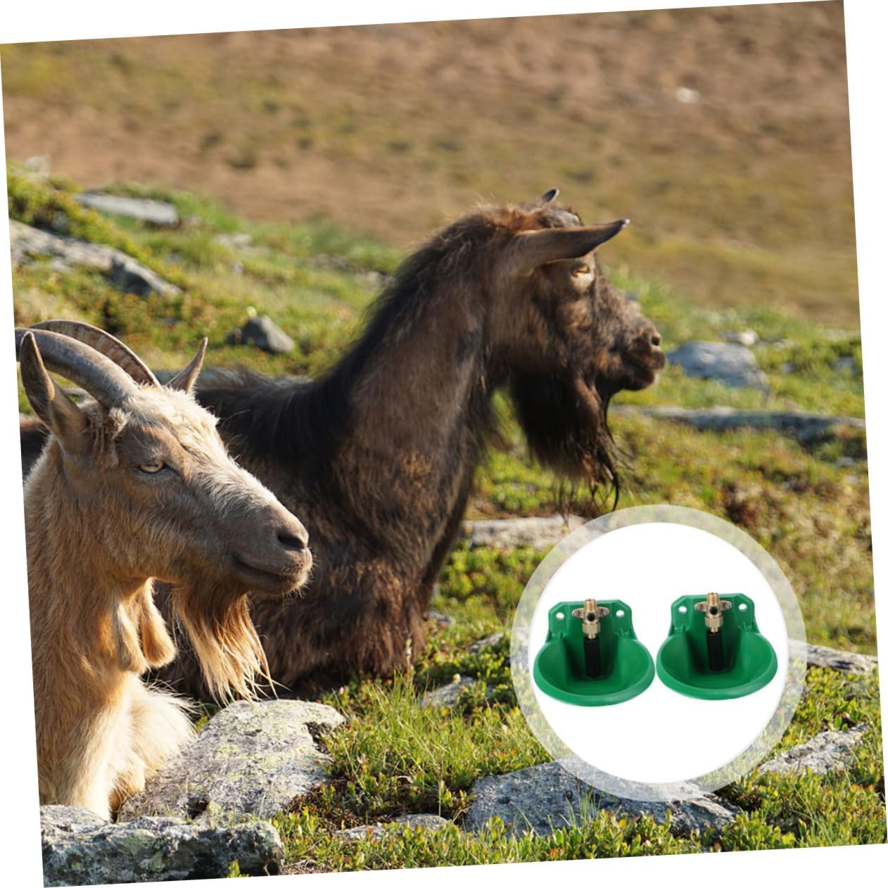 BESPORTBLE 2pcs Sheep Drinking Fountain Automatic Water Bowl Water Trough for Livestock