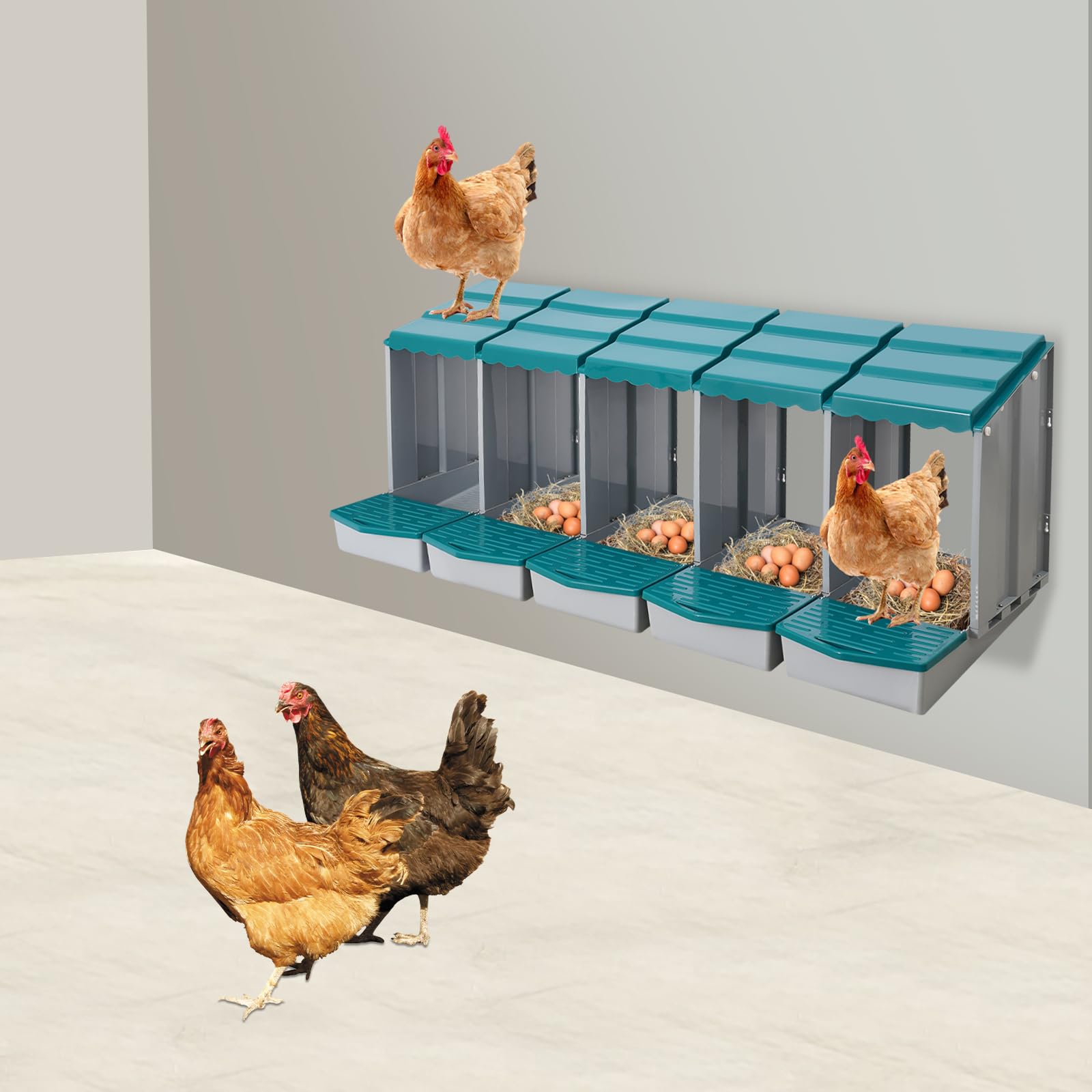 Gallinero nido para gallinero, accesorios, caja con recogehuevos, de material PP, para montaje en pared o de pie en exteriores, cría de pollos (verde, 5 compartimentos)