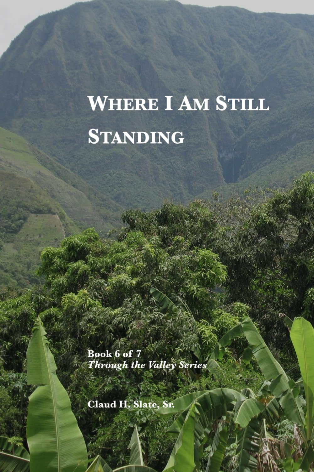 Where I Am Still Standing: Faithfulness Without Resolution (Through the Valley: A Journey of Faith, Pain, and Healing)