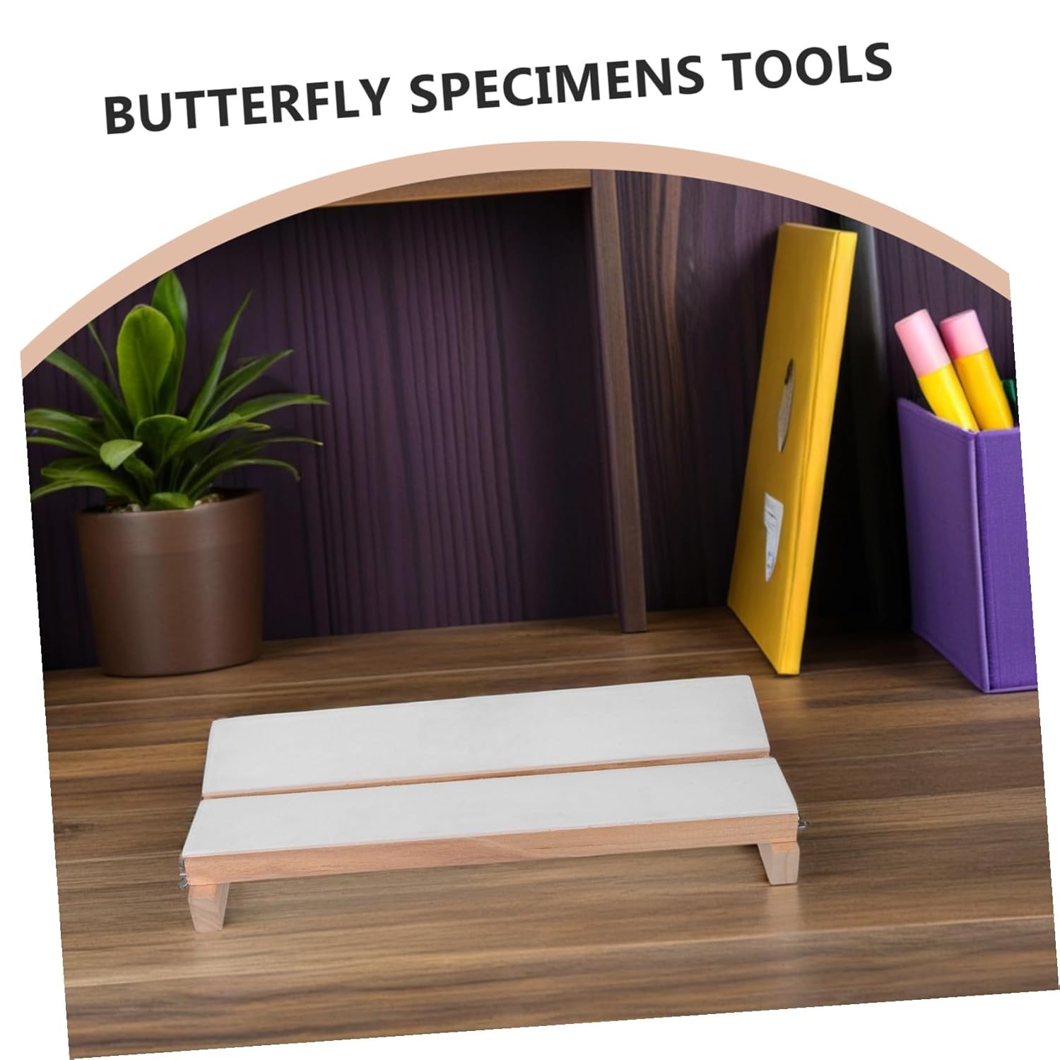 GARVALON Adjustable Butterfly Specimen Tool Sample Display Board for Science Education