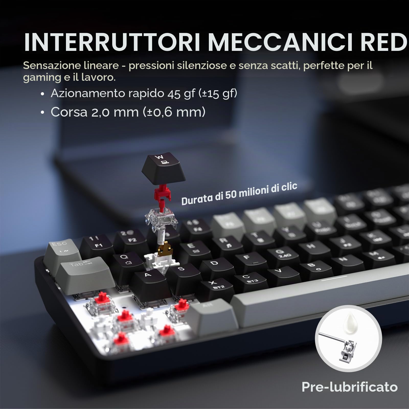 Dierya DK68 Tastiera Gaming Wireless,60% Tastiera Meccanica Bluetooth/2.4G/USB-C RGB,Interruttore Rosso,Double-Shot ABS Keycaps Compatibile con Win/Mac,Nero grigio-B(Layout US,QWERTY)