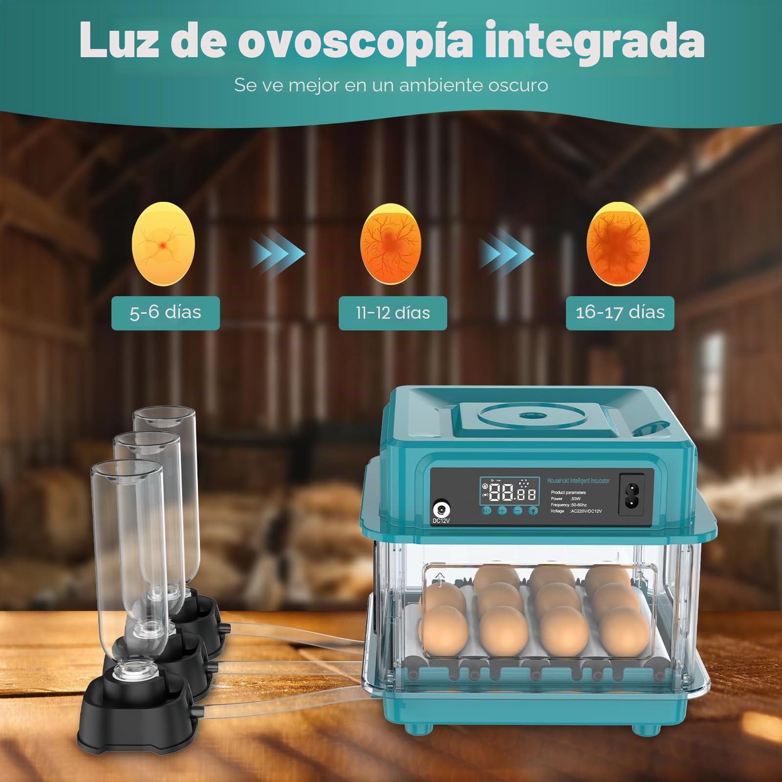 Incubadora totalmente automática, incubadora para 10-36 huevos con rotación automática de huevos y humidificación automática, incubadora con indicador de humedad para pollos, patos, gansos y
