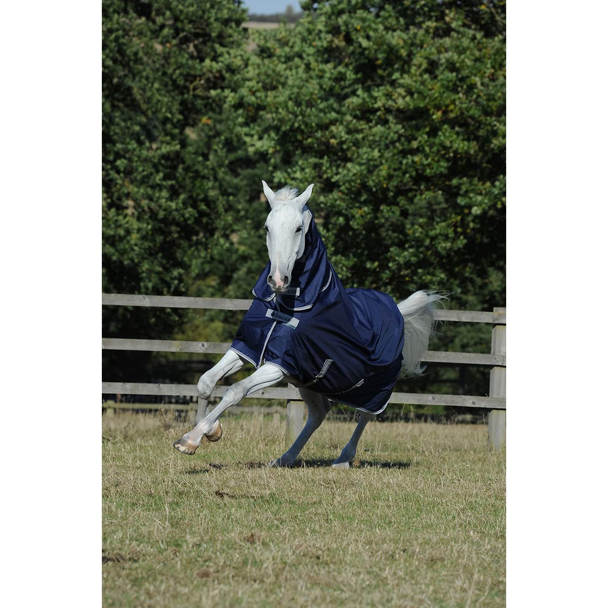 Bucas Freedom Turnout Light Full Neck - Navy