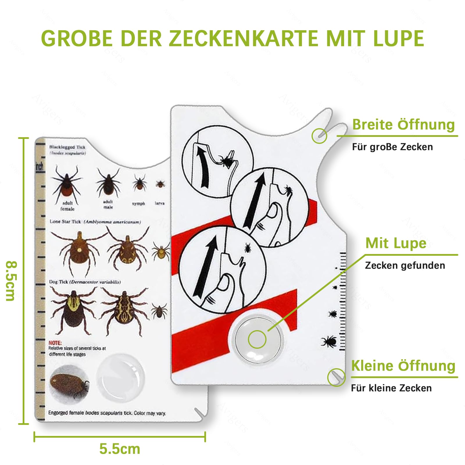 Avigers 3 tarjetas de garrapatas con lupa para humanos, niños, perros y gatos, tarjeta de garrapatas para personas al aire libre, camping y mascotas, tarjeta de tick para eliminar suavemente las