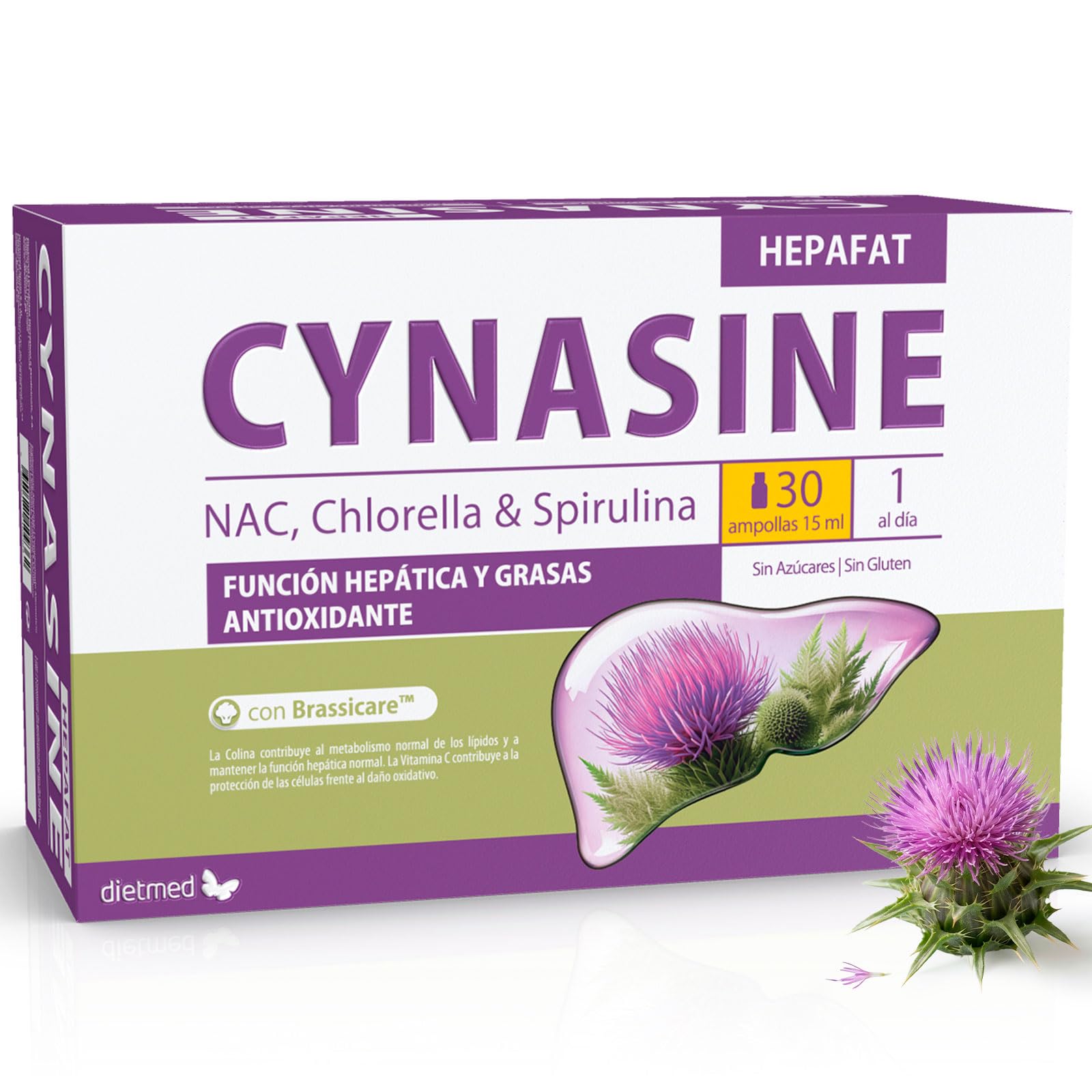 Cynasine Hepafat - Cardo Mariano 500 mg con N-Acetilcisteína y Colina - Función Hepática y Metabolismo de los Lípidos - Protección Celular y Acción Antioxidante - 30 Ampollas Bebibles de 15 ml DietMe