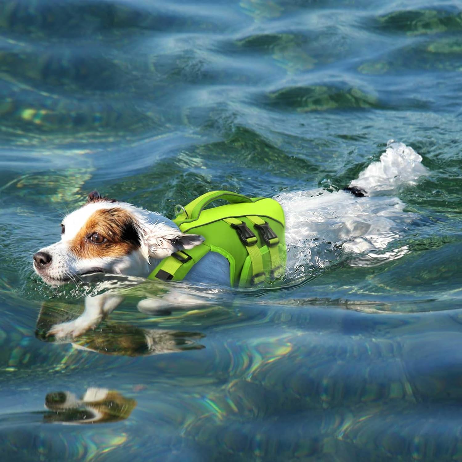 Queenmore Green X-Large Dog Life Jacket, Adjustable Reflective Dog Swimming Vest, Superior Buoyancy, High Floating Pet Life Vest for Swimming
