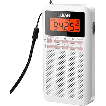 RD218 Small Portable Radio FM/AM/SW
