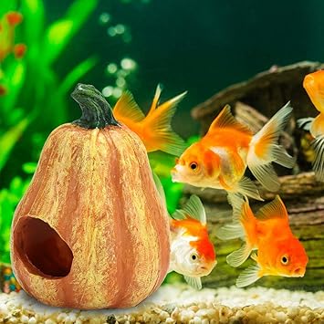 Amazon Co Jp 5月の贈り物 魚の水槽のカボチャの風景 野菜の無毒な水族館のカボチャの装飾 魚のための頑丈な1pcs ホーム キッチン