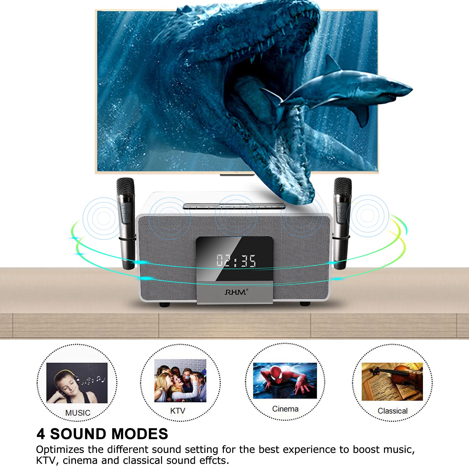 RHM Home Karaoke System on TV with 2 Wireless Microphones,All in One