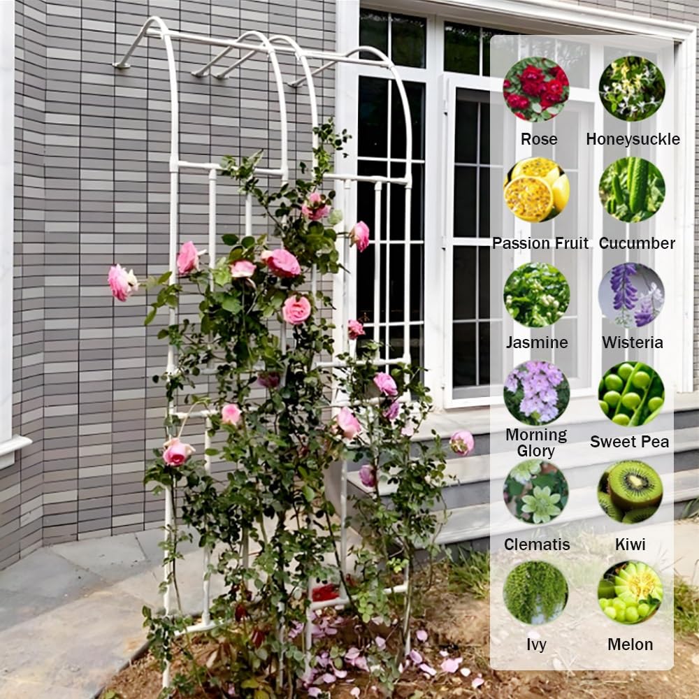 Halber Gartenbogen Rosenbogen Aus Metall Stabil Rankbogen Metall-Gartenspalier Für Pflanzen Zur Unterstützung Von Rosen, Die Torbogen-Gartendekoration(Green,W 90 x H 240 cm)