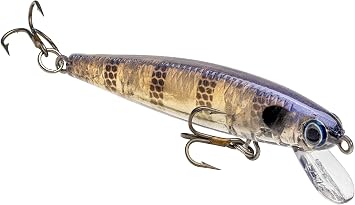 Strike King Bitsy Jerkbait