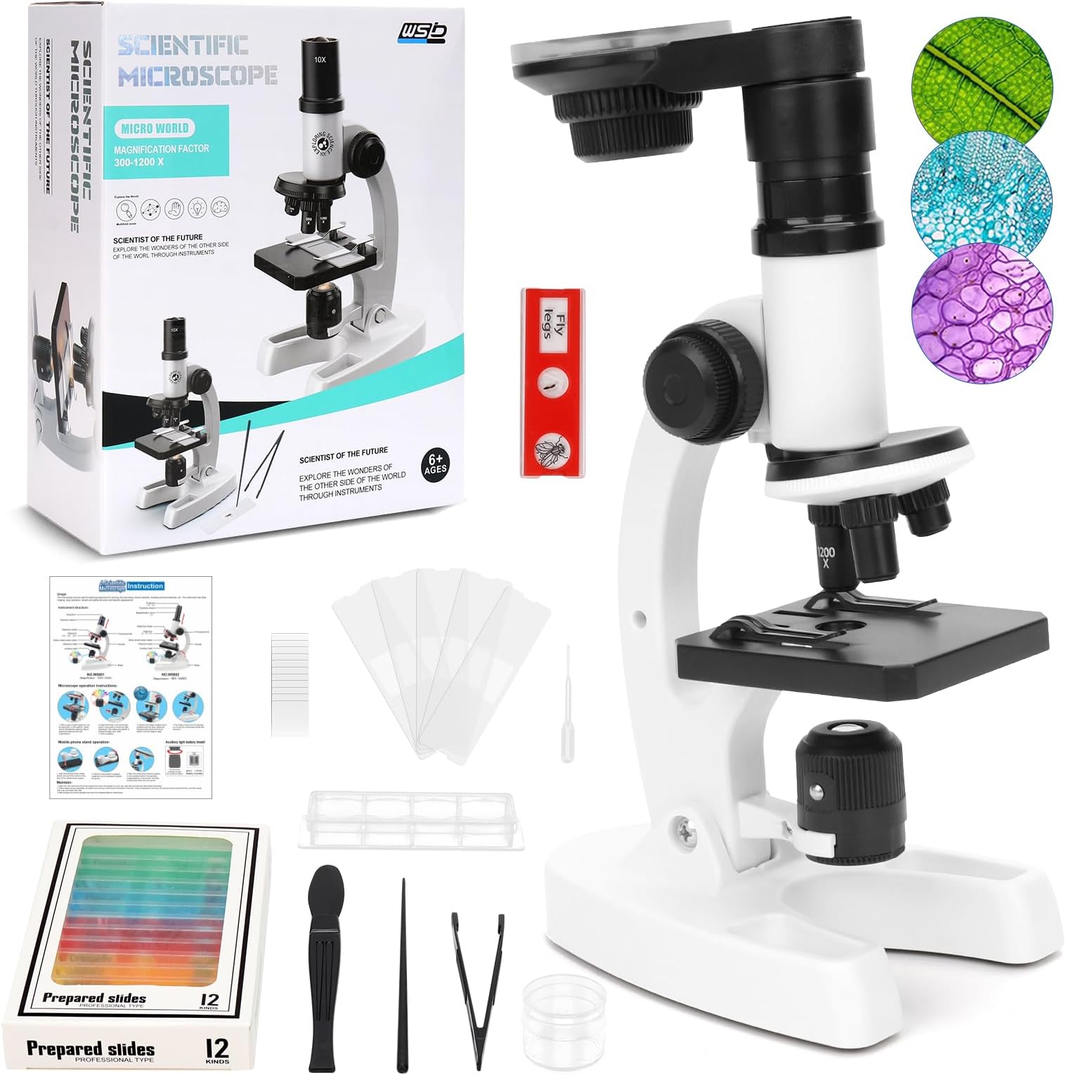 Swift SW100 Microscopio Infantil Compuesto con Aumento de 40x, Cabeza ...