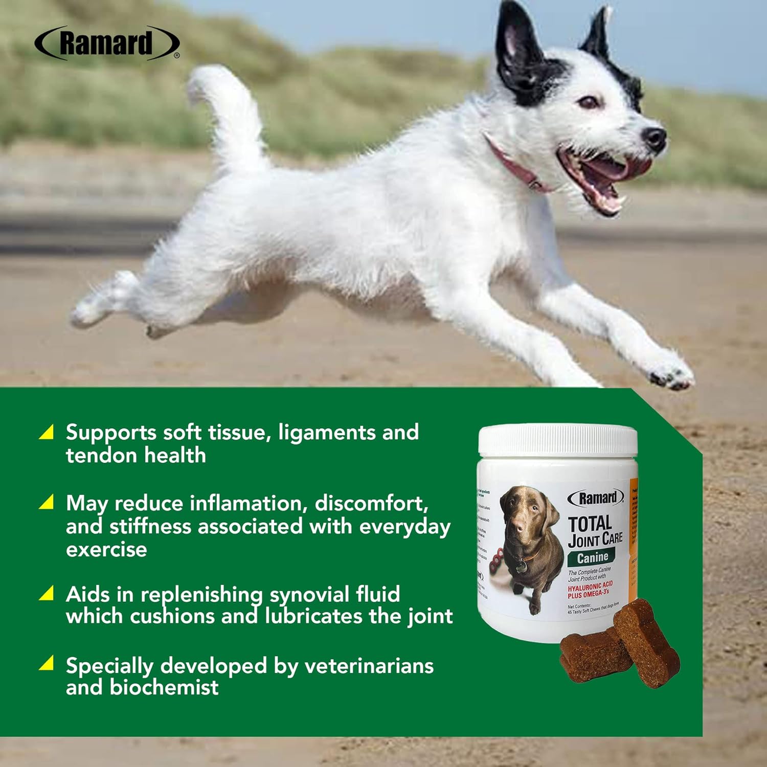 Ramard Total Joint Supplement for Dogs - MSM Glucosamine Chondroitin for Dogs & Hyaluronic Acid, Dog Vitamins and Supplements, Joint Support for Dogs Small & Large Dog Breeds (45 Chews Jar, 1-Pack) : Pet Supplies