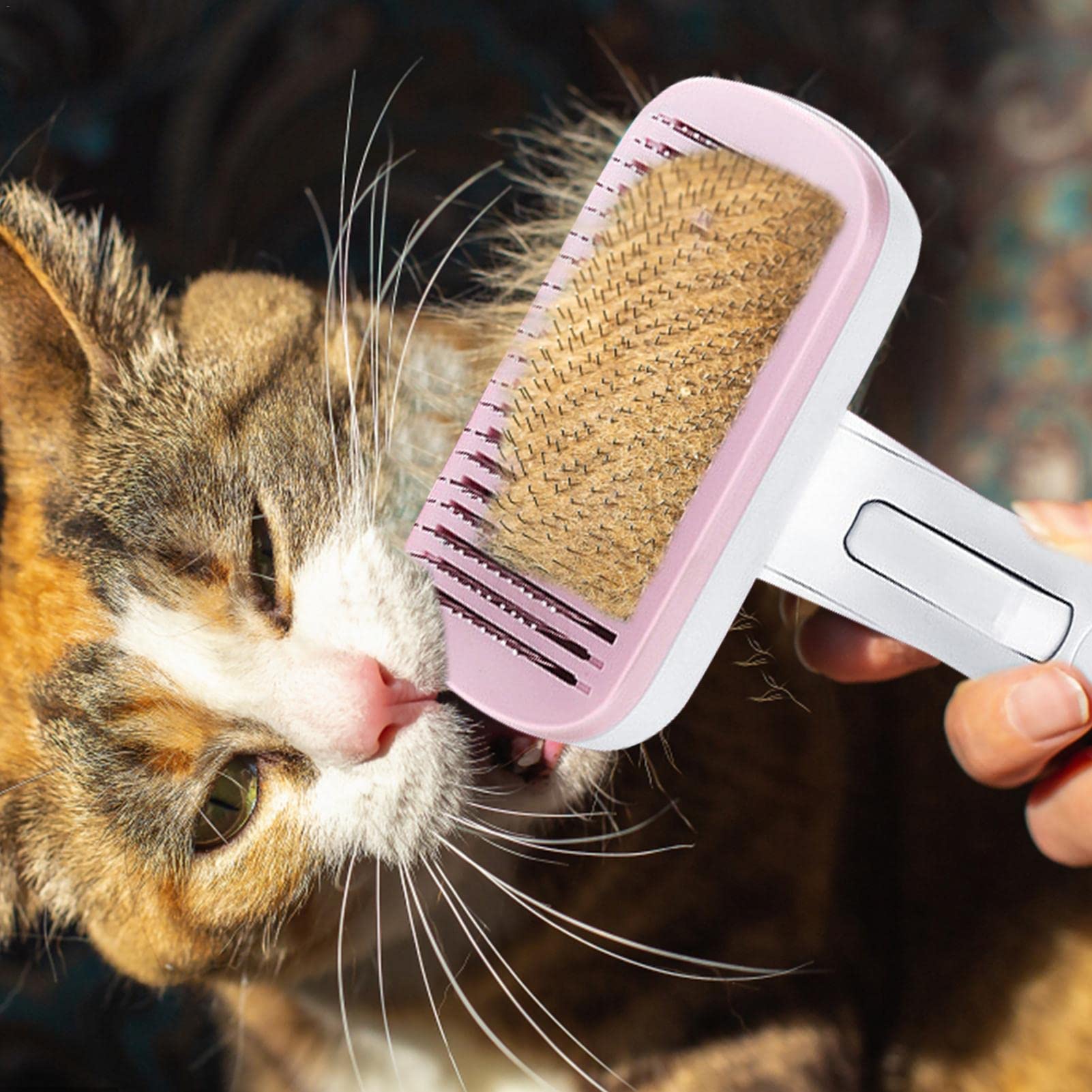 cepillo para mascotas | Cepillo para mudar gatos Metal - Peines para gatos para gatos de interior Cepillos para mascotas para perros y gatos Aguja de acero doblada segura (Color : Pink, Size : Steel w