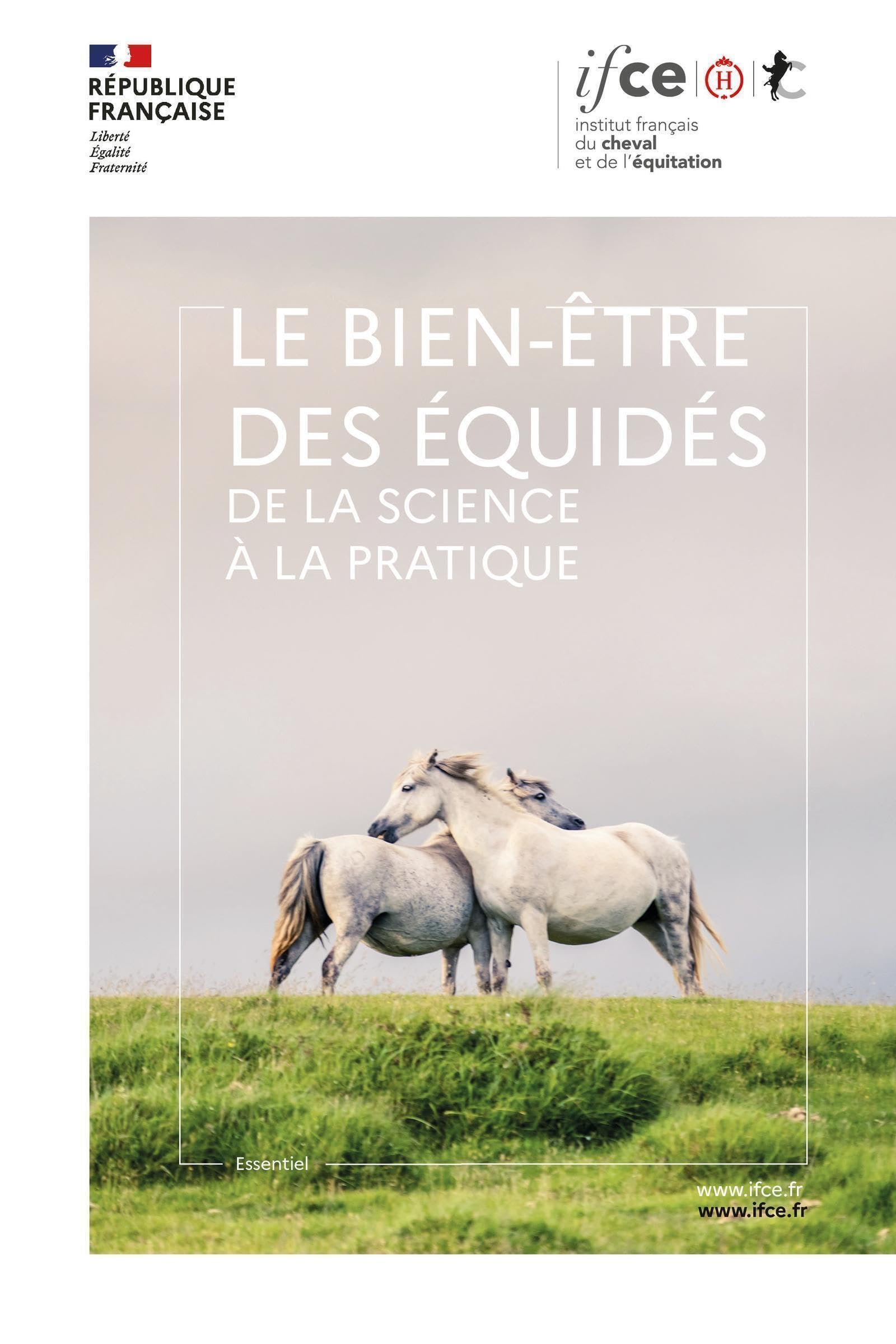 Le bien-être des équidés: De la science à la pratique