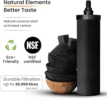 PHOENIX GRAVITY 6-Liter Stainless Steel Gravity Water Filter | NSF/ANSI 42 & 372 Certified | 2 Smart Carbon Cartridges Included | No Electricity or Plumbing Needed | Clean, Healthy Drinking Water