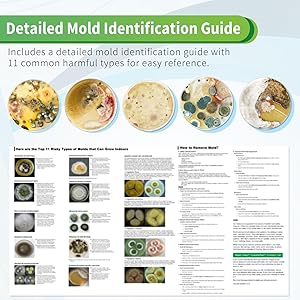 Mold Test Kit for Home with Free Lab Analysis - 5 Simple Detection Tests DIY at Home Mold Air Tester - Test HVAC System,Surface Mold for Home Indoor & Outdoor Air Quality Mold Testing Kits Detector