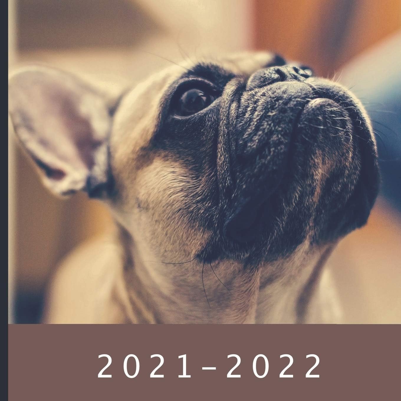 2021 - 2022: 18 Month Calendar | Monthly Photo Calendar | July 2021 - December 2022 | Monthly Calendar with U.S./UK/ Canadian/Christian/Jewish/Muslim Holidays | French Bulldog Calendar
