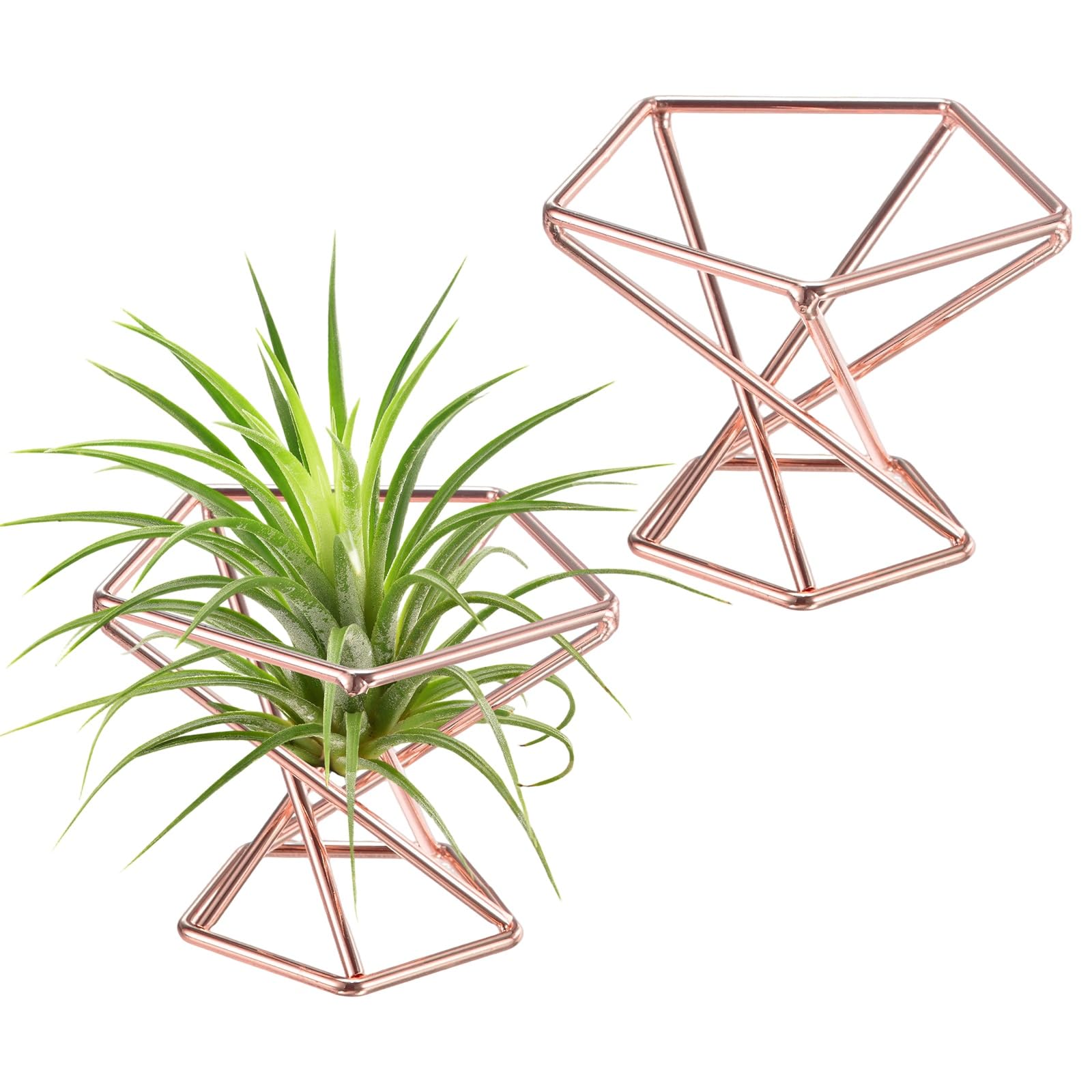 M METERXITY 2-Pack Geometric Air Plant Holders, Hexagonal Metal Airplants Stand Rack Holder Shelves for Home Decor/Indoor Outdoor Plants, Tillandsia Pot Containers [Gold Tone, 1.65" H]