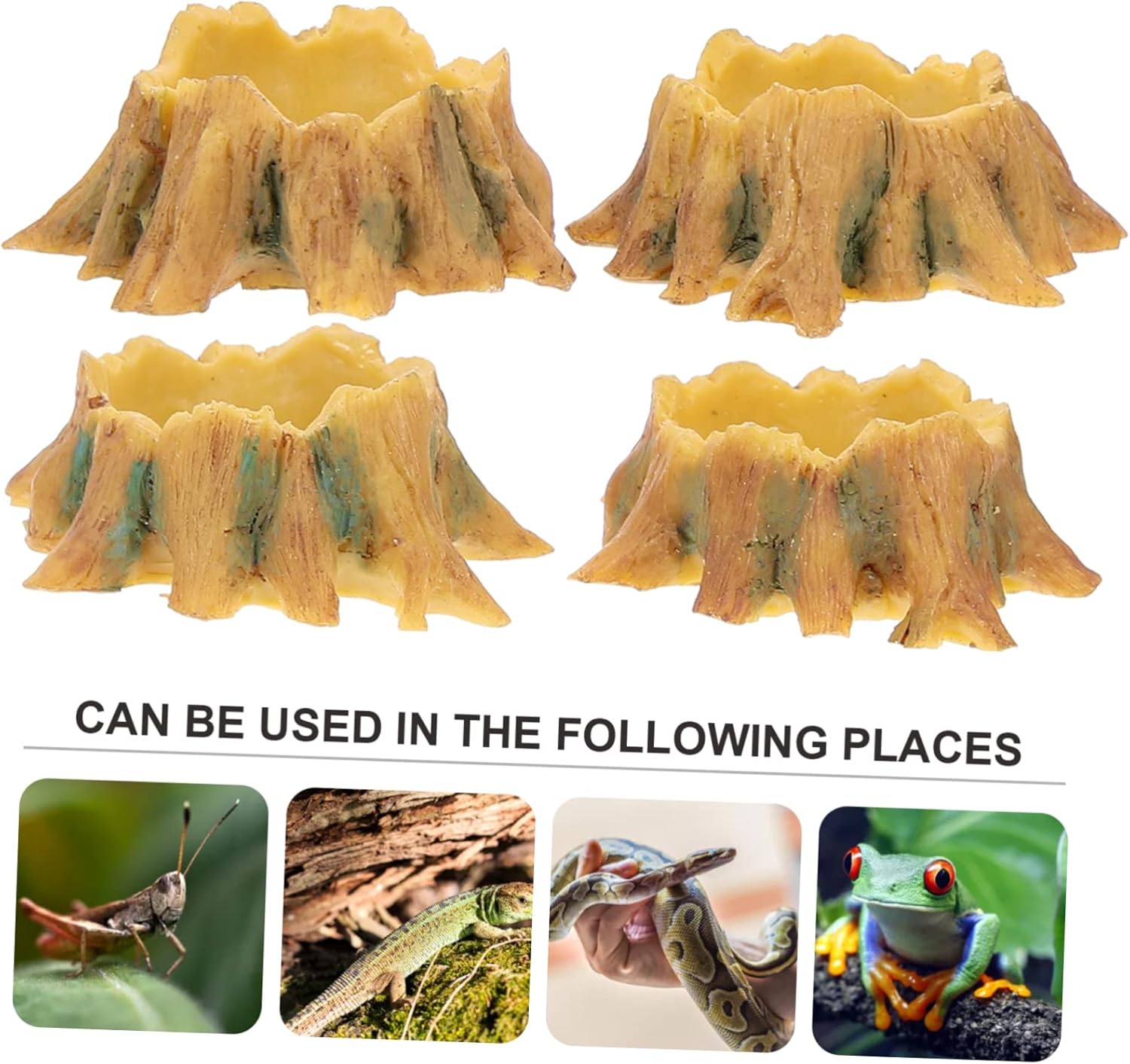 Reptile Water Bowl Reptile Feeding Bowl,4pcs Pet Birdbath Jumping Spider Reptile Food Bowl Reptile Water Dish Reptile Terrarium Bowl Bearded Dragon Reptile Feeding Dish