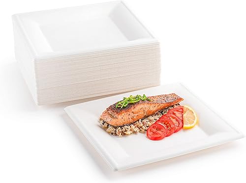 brheez Platos desechables de papel de 10 pulgadas, platos compostables alternativos, resistentes (paquete de 110), ecológicos, 100% fibra de bagazo