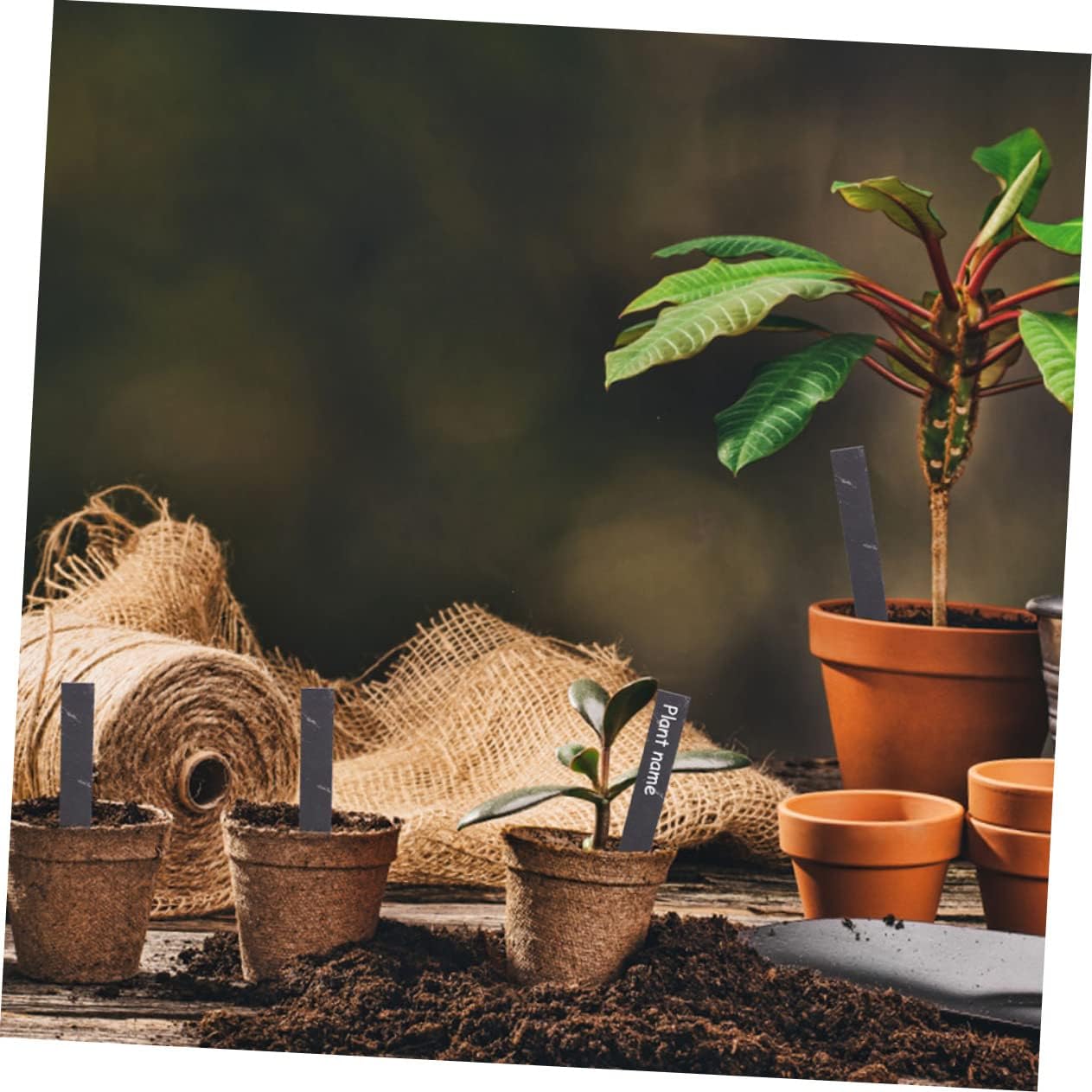 Garneck 12pcs Plant Labels for Garden Markers for Vegetable Flower and Herb Identification for Indoor and Outdoor Use