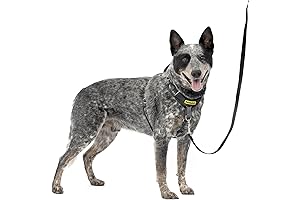 Rover Gear Better Walk No-Pull Dog Harness