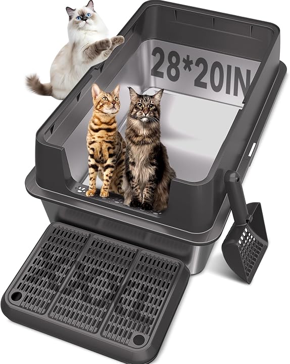 Transparent editorial object representing Lifestyle