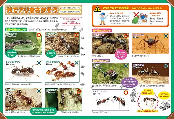 学研 Gakken 科学と学習 PRESENTS ふしぎの国のアリのすハウス(対象年齢:6歳以上)J750736 - 4