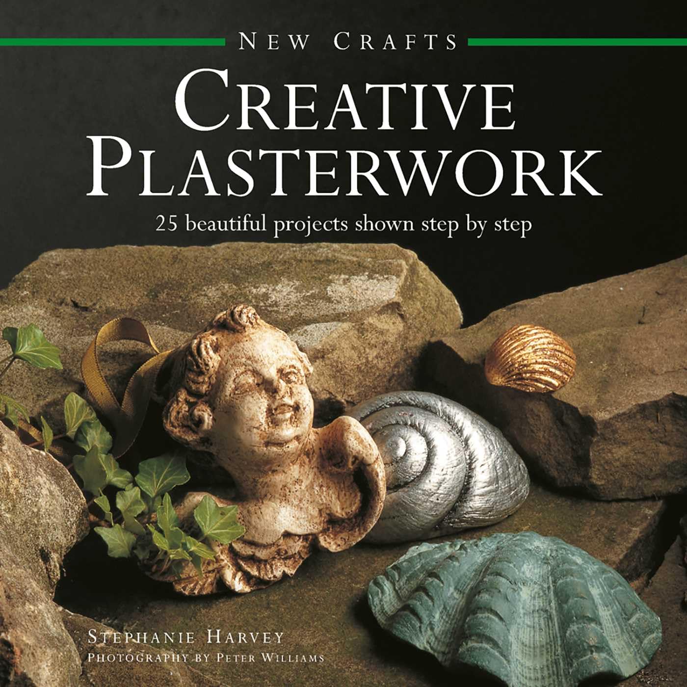 New Crafts: Creative Plasterwork by Harvey Stephanie (Hardback Book)