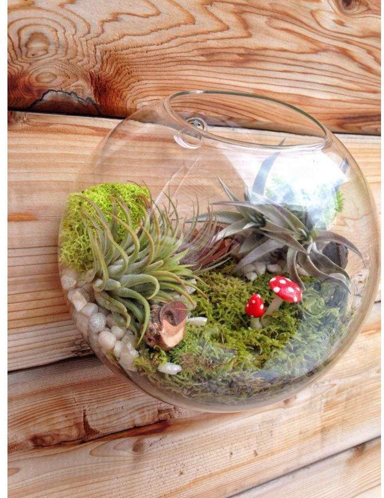 Cristal colgante creativo maceta Base de madera para decoración de