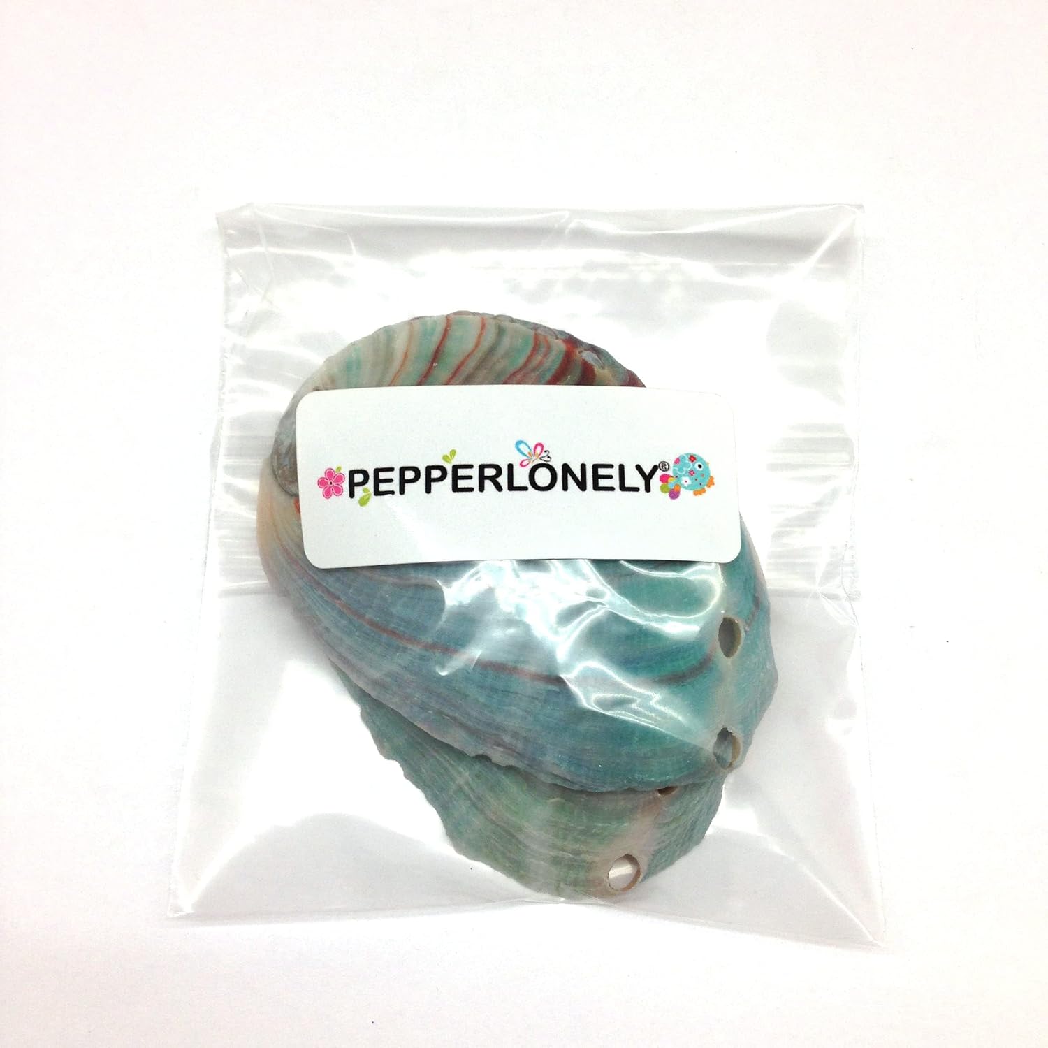 PEPPERLONELY 2 PC Green Baby Abalone Sea Shells, 3 Inch~3.5 Inch