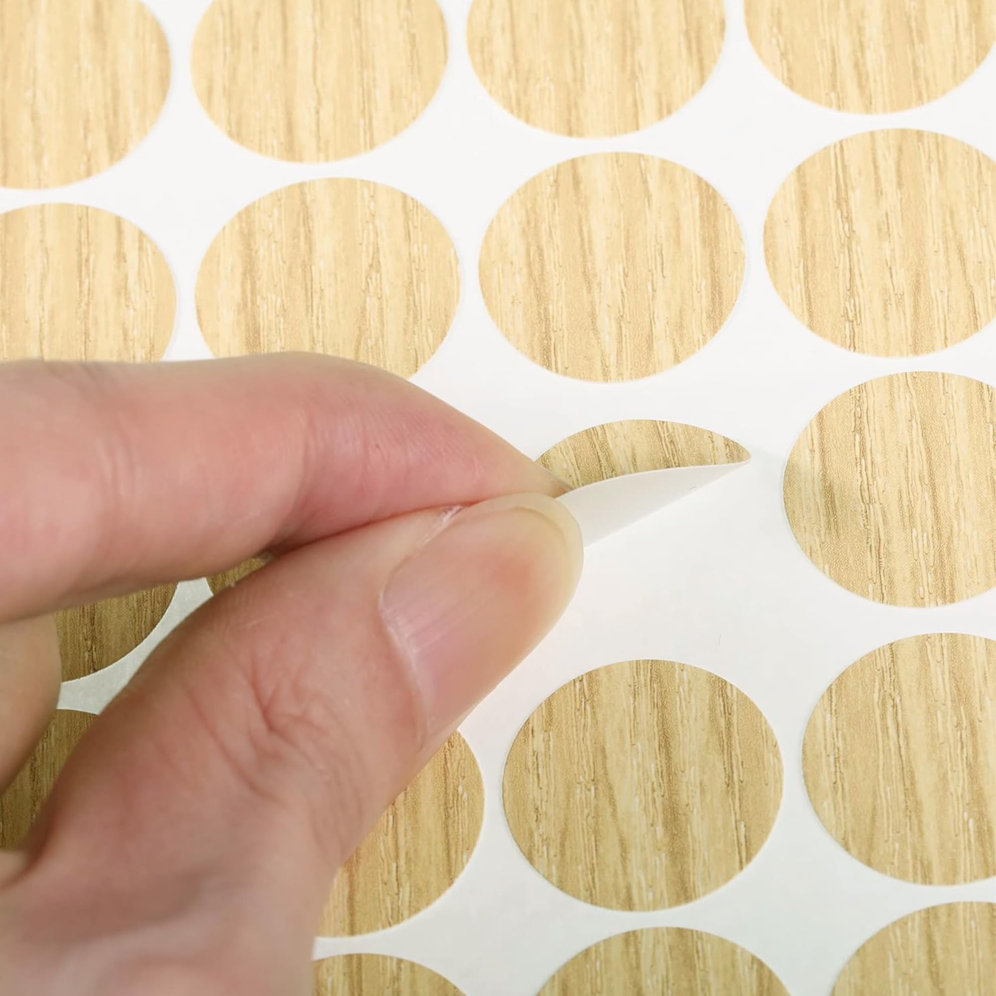 Vite Autoinvitanti Testa Bombata Con Rondella 4,2 X 19 Mm - VITI