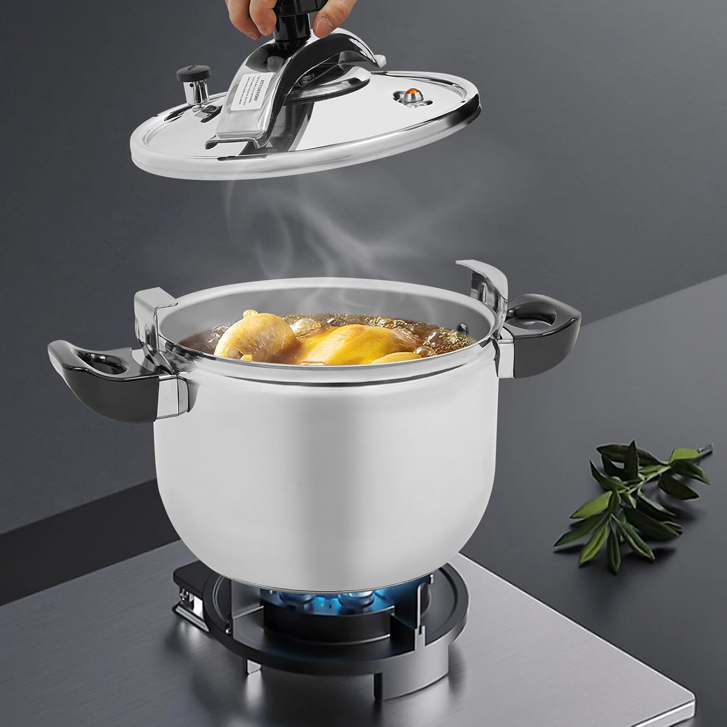 Bacocoo Pressure Cooker & Stainless Steel Pressure Cooker & Super Safety Lock Explosion Proof,Suitable for All Hob Types,Instant Fast Ollas De Presion Para Cocinar. (9L)