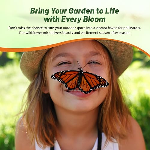 Miniatura 7 de Outsidepride Mezcla de semillas de flores silvestres Birds & Butterfly - 1 libra. Mezcla premium de semillas de flores silvestres anuales y perennes