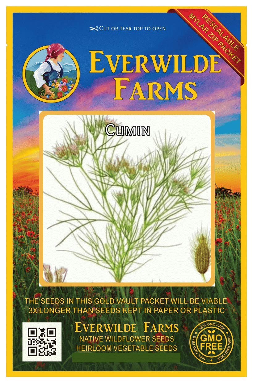 Everwilde Farms - 1000 Cumin Herb Seeds - Gold Vault Jumbo Seed Packet