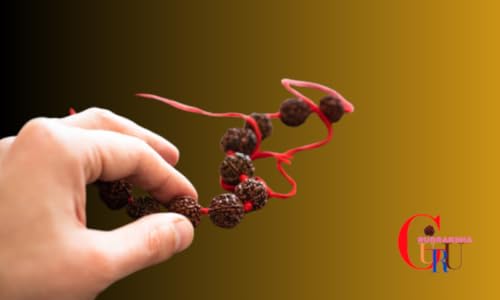 Rudraksha Guru