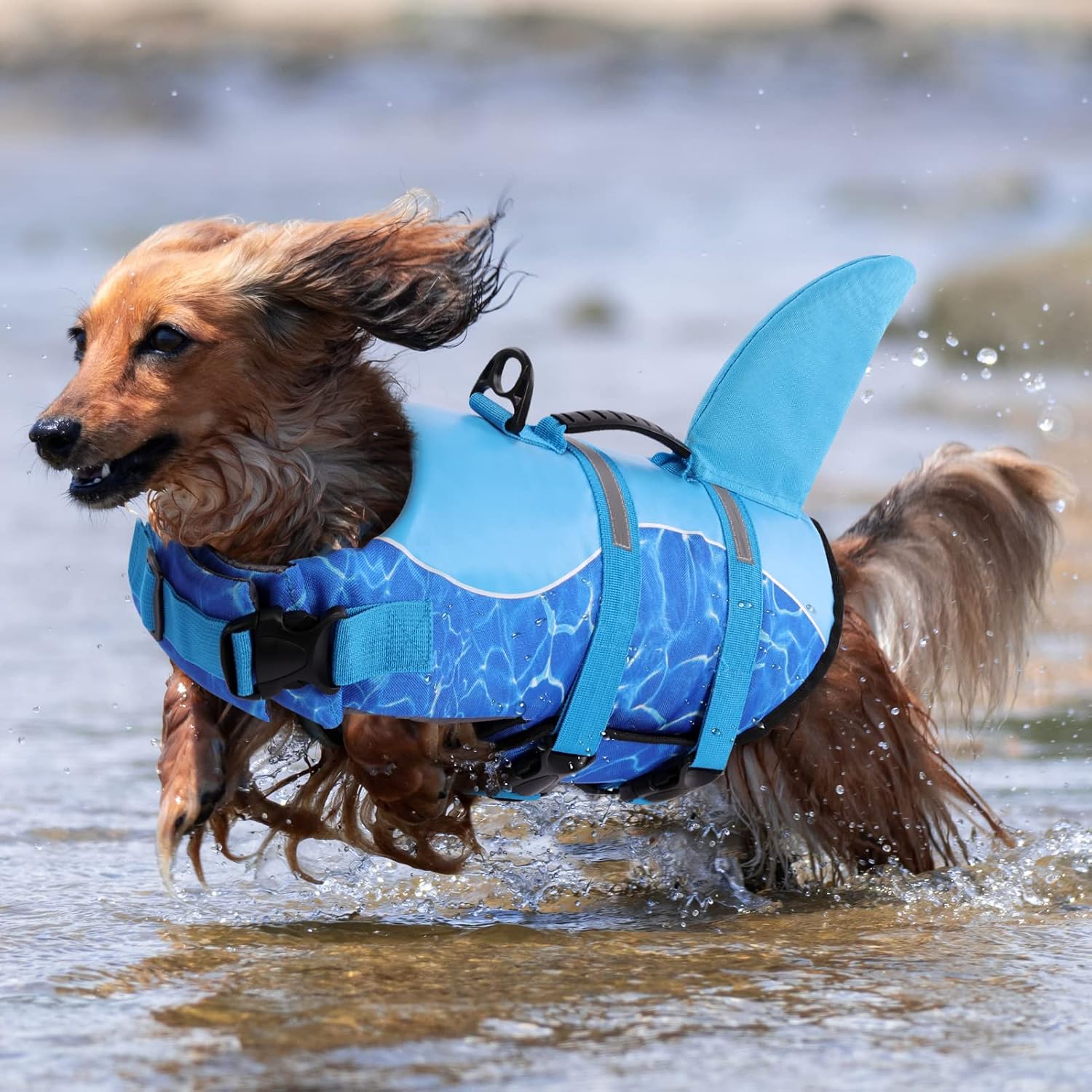 Queenmore Shark Dog Life Jacket, Dog Life Vest for Swimming, High Buoyant Doggie Swimming Vest, Adjustable Easy On Pet Swim Jackets for Small, Medium, Large Breeds (Blue,M)