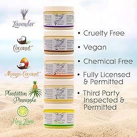 The Keys Salt Scrub -Sea Salt Scrub - Exfoliating Body Scrub with Wooden Spoon - Moisturizing Exfoliator for Hands, Foot, Bath, (12 Ounce (Pack of 3), Key Lime)