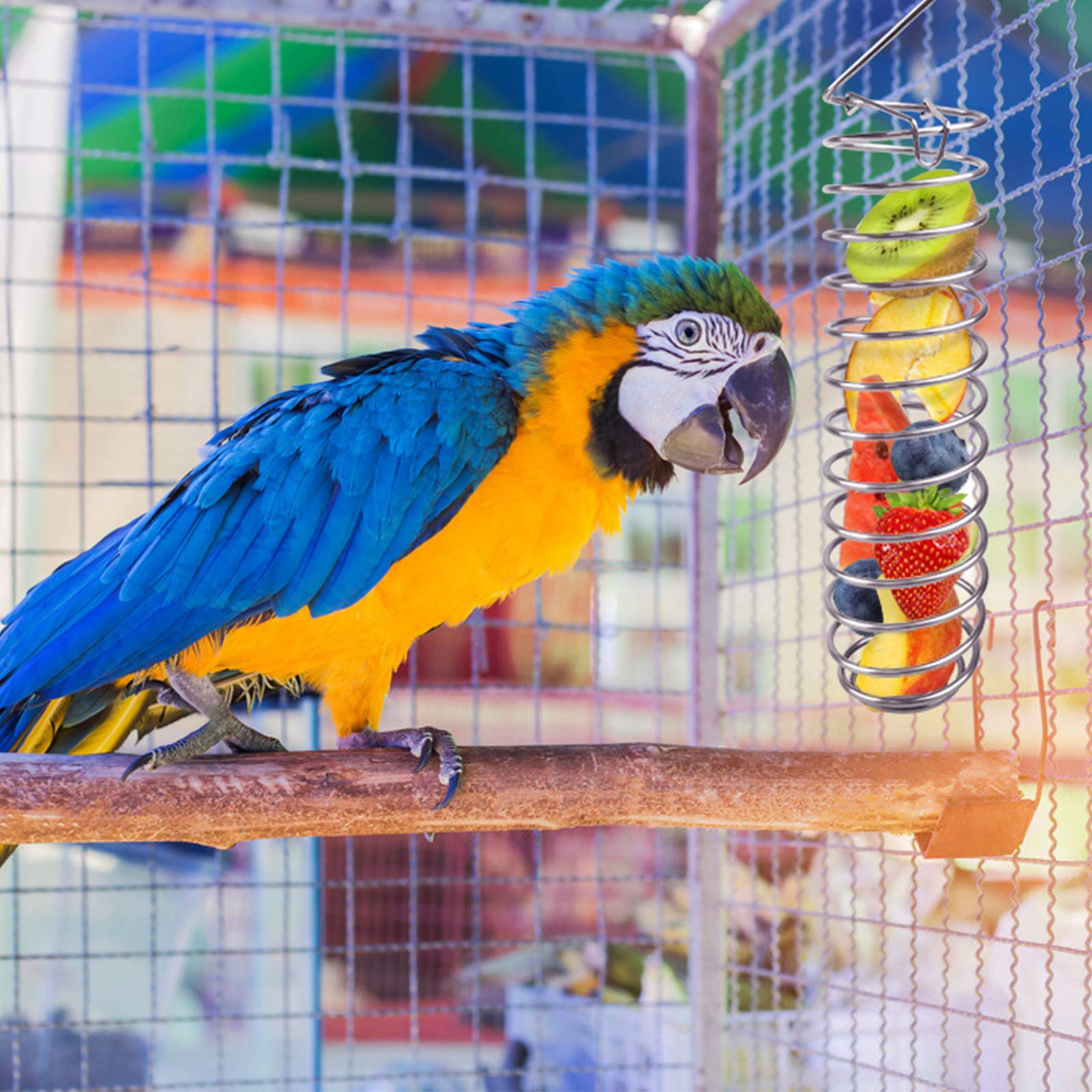 Vogel Leckerli Halter, Edelstahl Papagei Futterhalt Produktbild-Vorschau 7