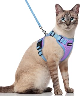rabbitgoo Escape Proof Cat Harness & Leash Set - Adjustable Breathable Vest for Kittens, Reflective Strips, Easy Control, Small Purple Blue