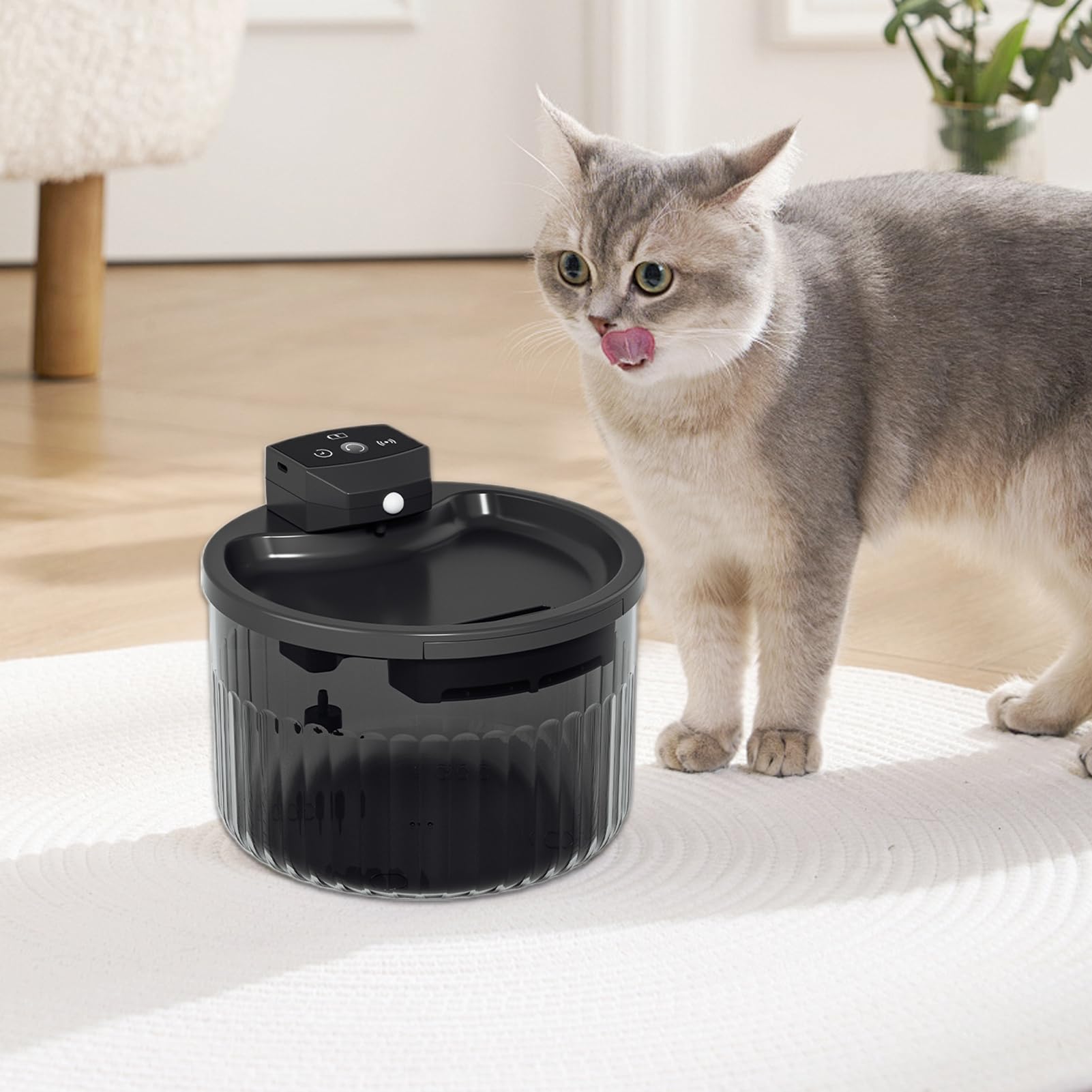 Fontana d'acqua per gatti, wireless, 2 l, abbeveratoio silenzioso per gatti