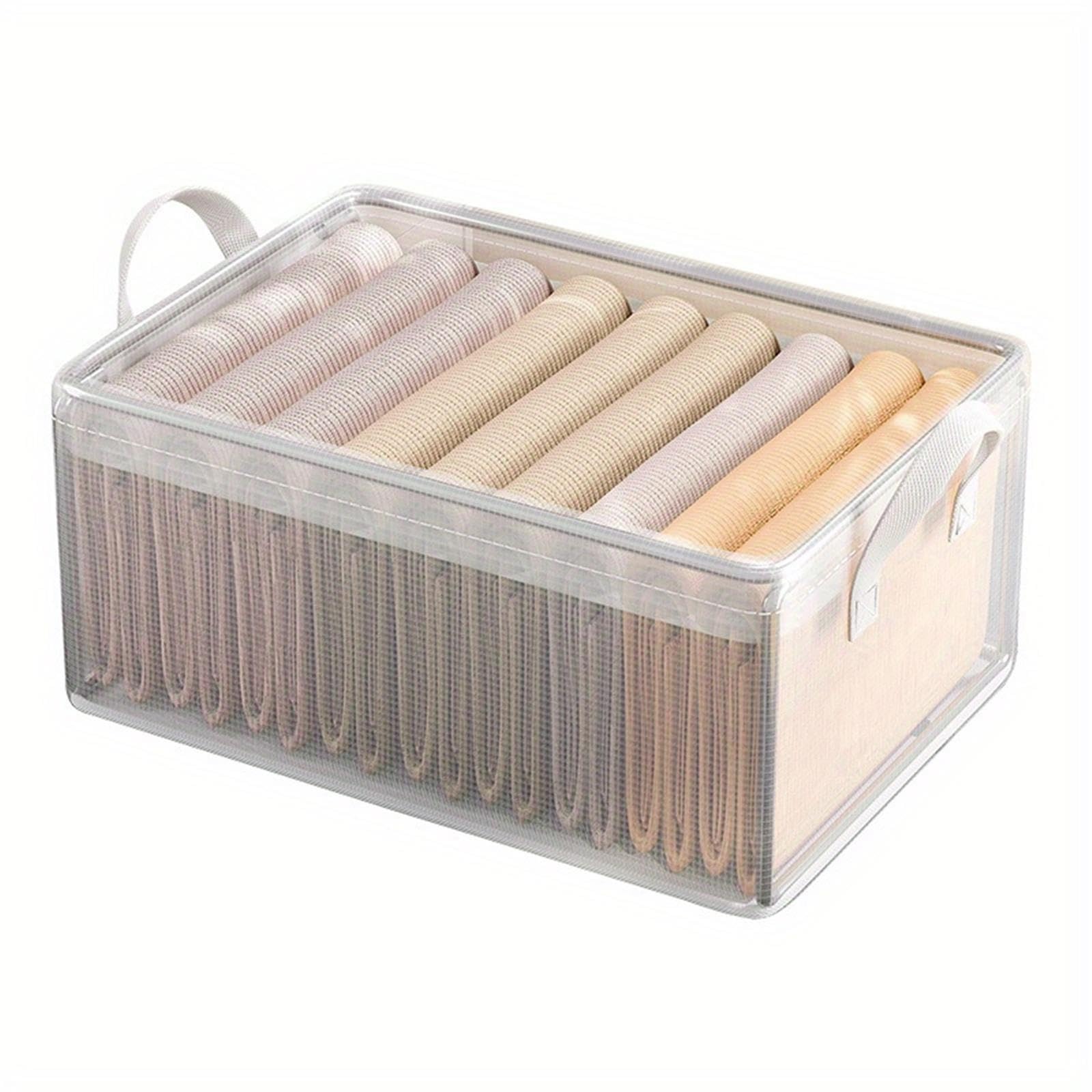 Cestas Organizadoras 2 cajas de almacenamiento transparentes
